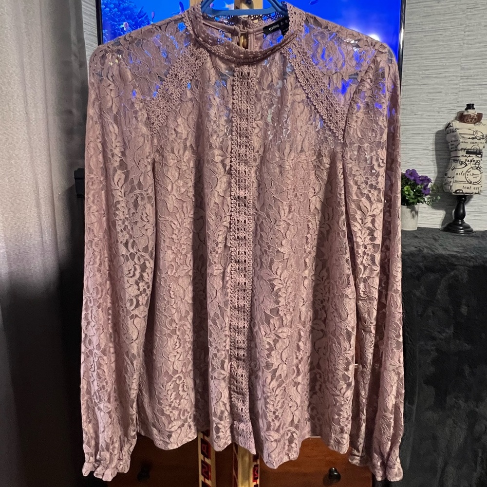 Cable & Gauge Blush pink Lace High-Neck Blouse